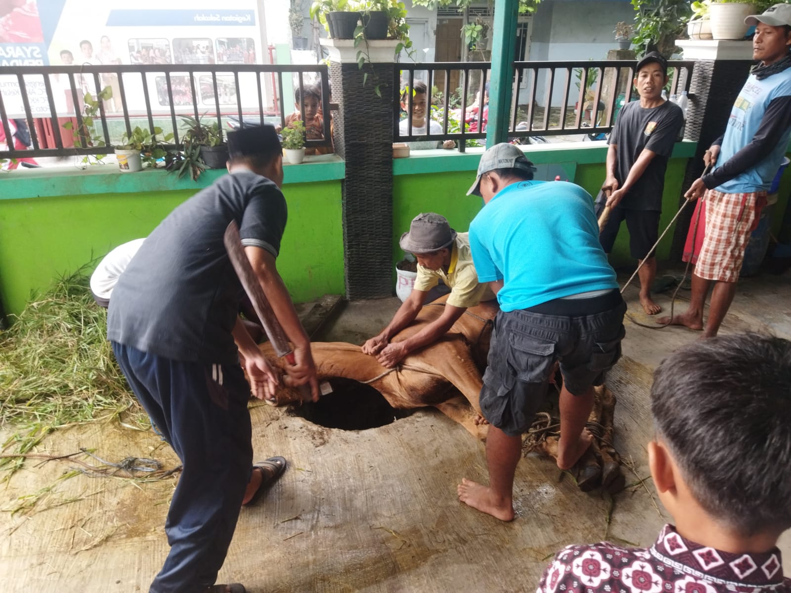 MEMPERINGATI HARI RAYA IDUL ADHA "KEGIATAN QURBAN SDN KRADENAN 04 TAHUN 2024